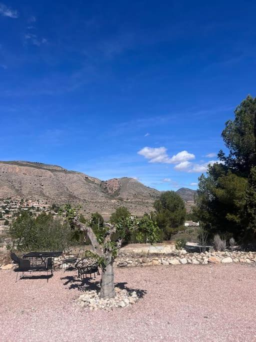 Casa Dusena Estrella Apartman Hondón de las Nieves Kültér fotó